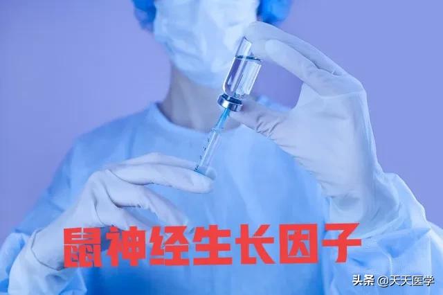 鼠神经生长因子功效和作用,鼠神经生长因子的说明书