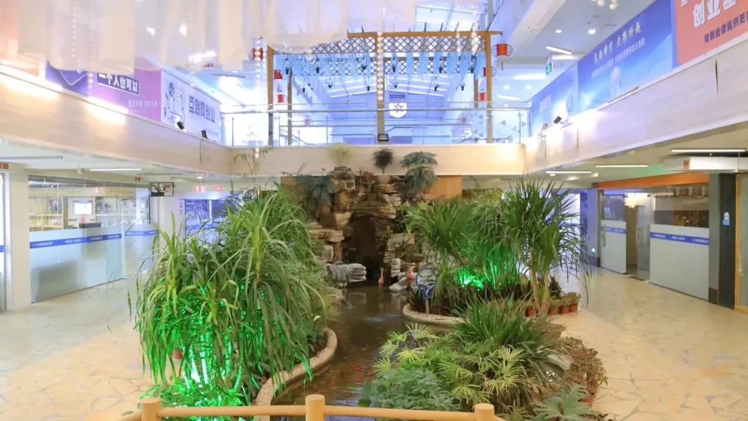 洛阳樱桃主题公园,洛阳蹦床主题公园