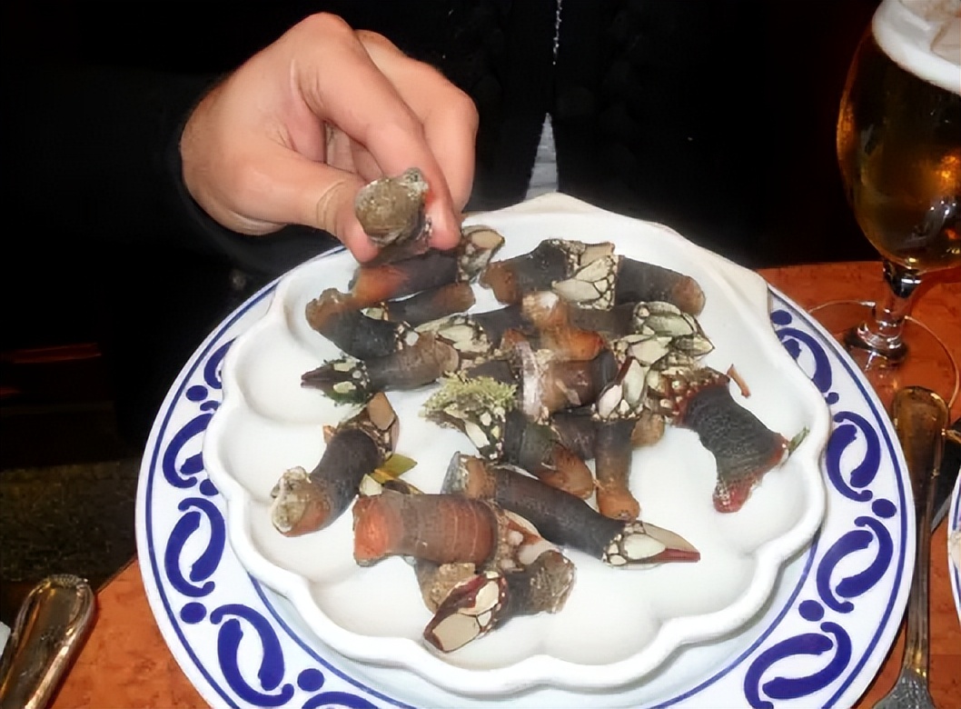 中国人吃藤壶,哪个地方的人吃藤壶