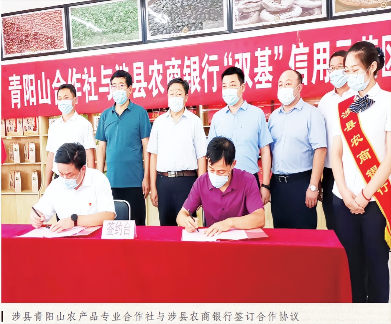 太行梯田上的新农人——记涉县青阳山农产品专业合作社理事长赵永平