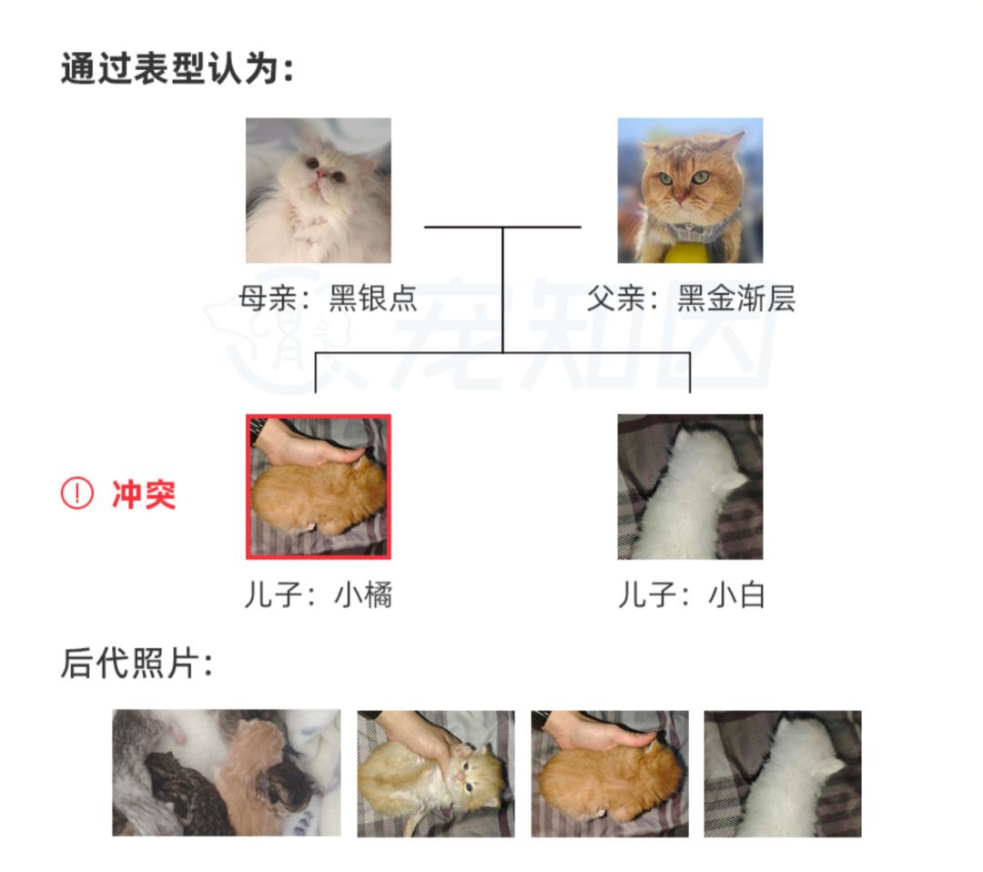 基因技术重大突破,基因科技的重大突破