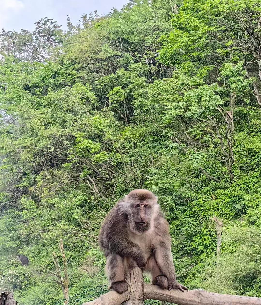 四川旅游攻略最值得推荐的景点,四川风景区旅游景点排行榜前十名