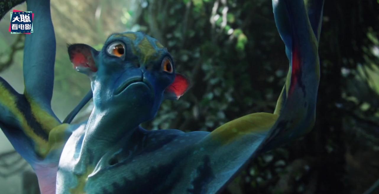 阿凡达细节讲解,阿凡达2全过程讲解