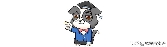 狗狗快生产了,狗狗快生产了肚子很硬