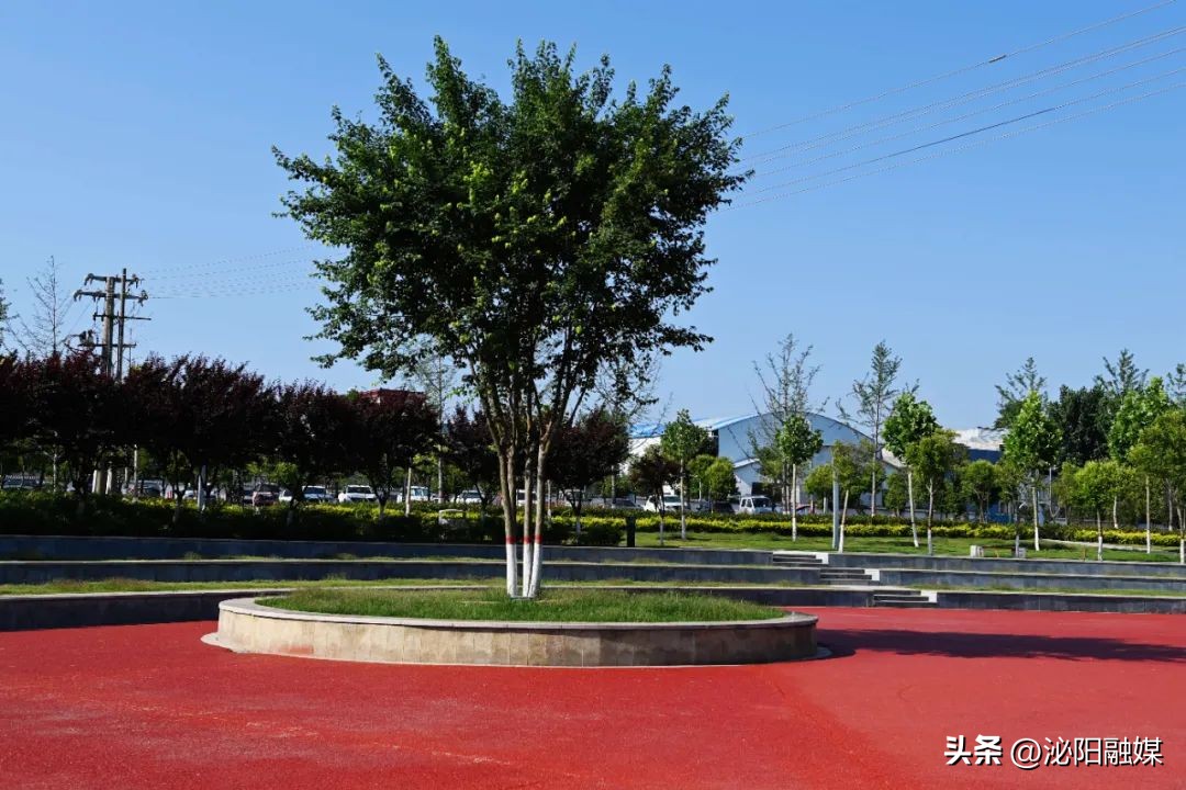 月儿湾跳舞音乐,月儿湾公园跳舞