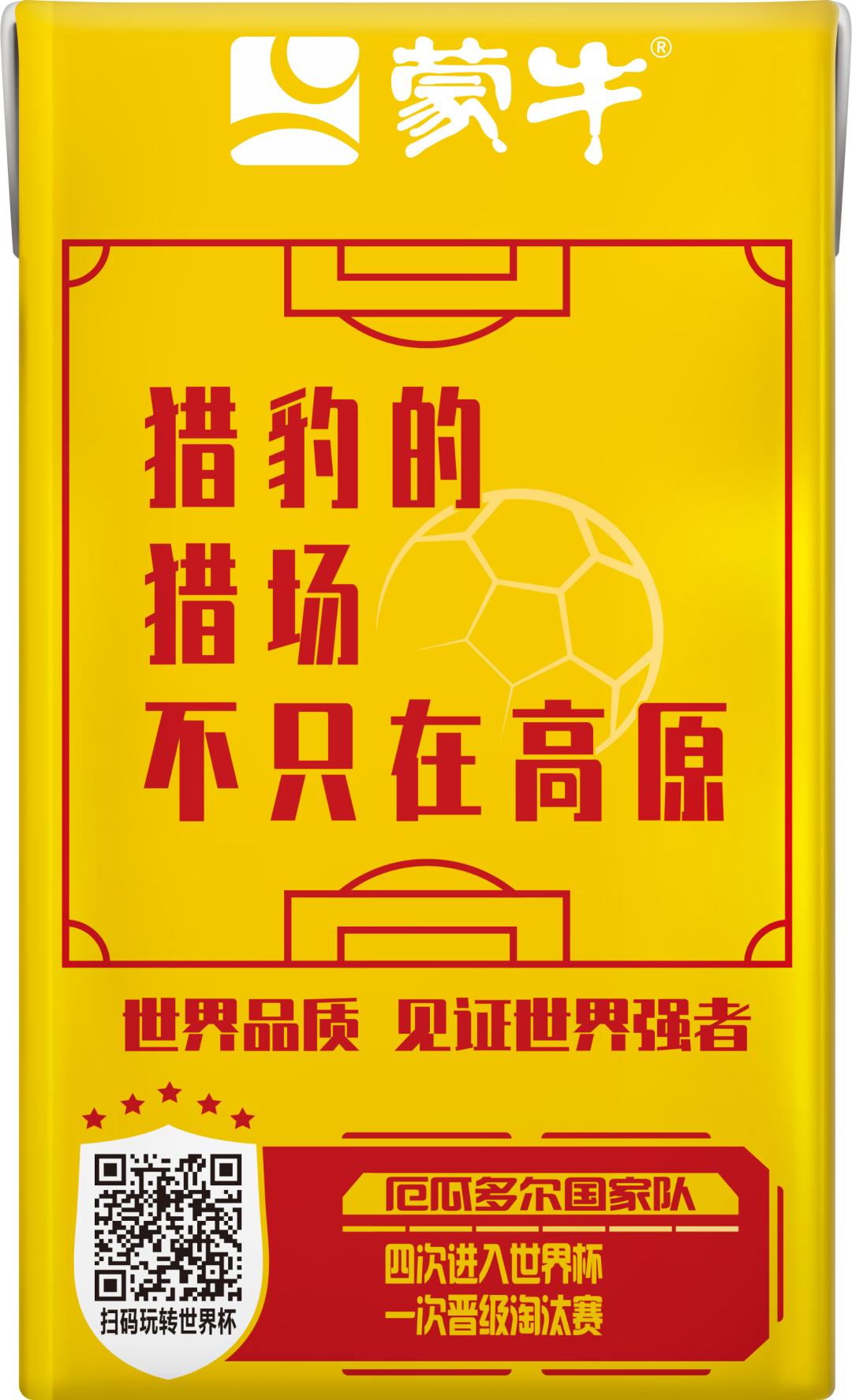 世界杯队长手记,世界杯队长纪录片葡萄牙