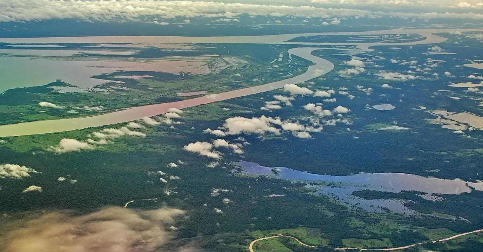 巴西炸出1000斤巨蟒是真的吗,亚马逊河巨大的蟒蛇有多恐怖视频
