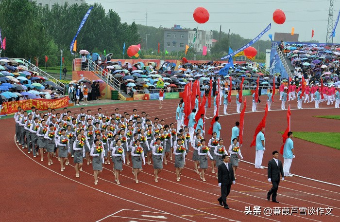 金色童年，多彩活动——阿宝老师的“作文经”（二三〇）