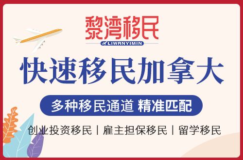 土耳其护照有法律规定吗,土耳其护照能申请e2吗