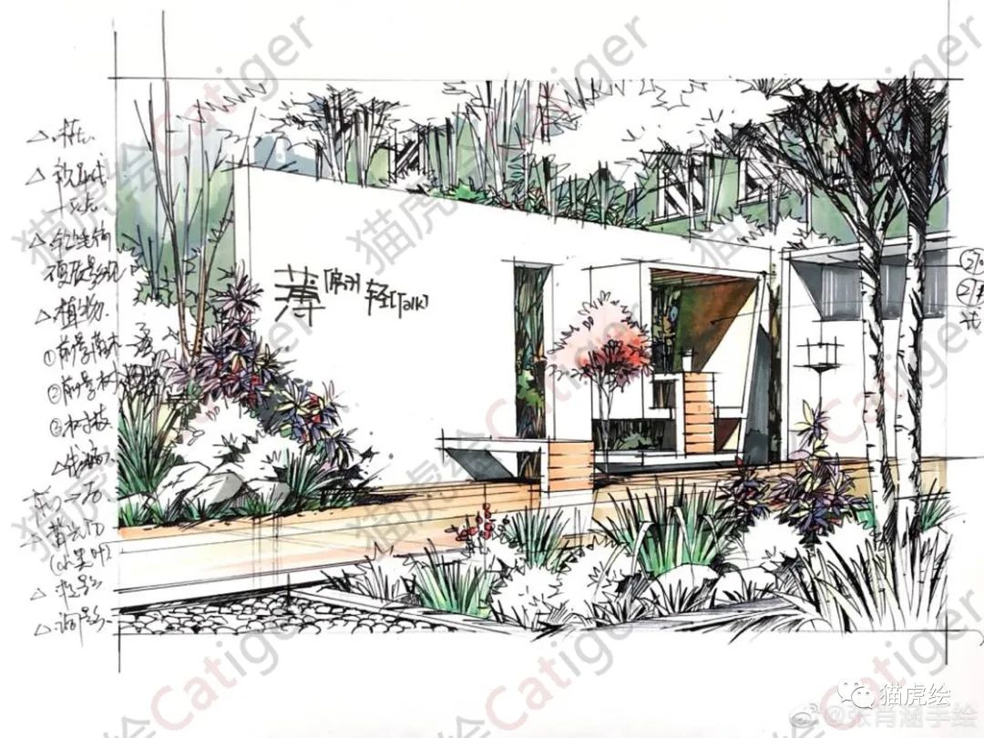 2022猫虎绘暑假手绘班招生简章「线上+线下」