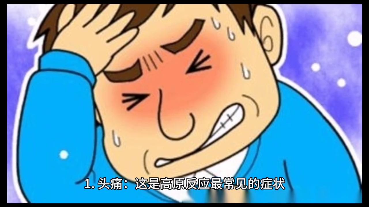 去西藏旅游高原反应注意事项,藏地旅游出行攻略