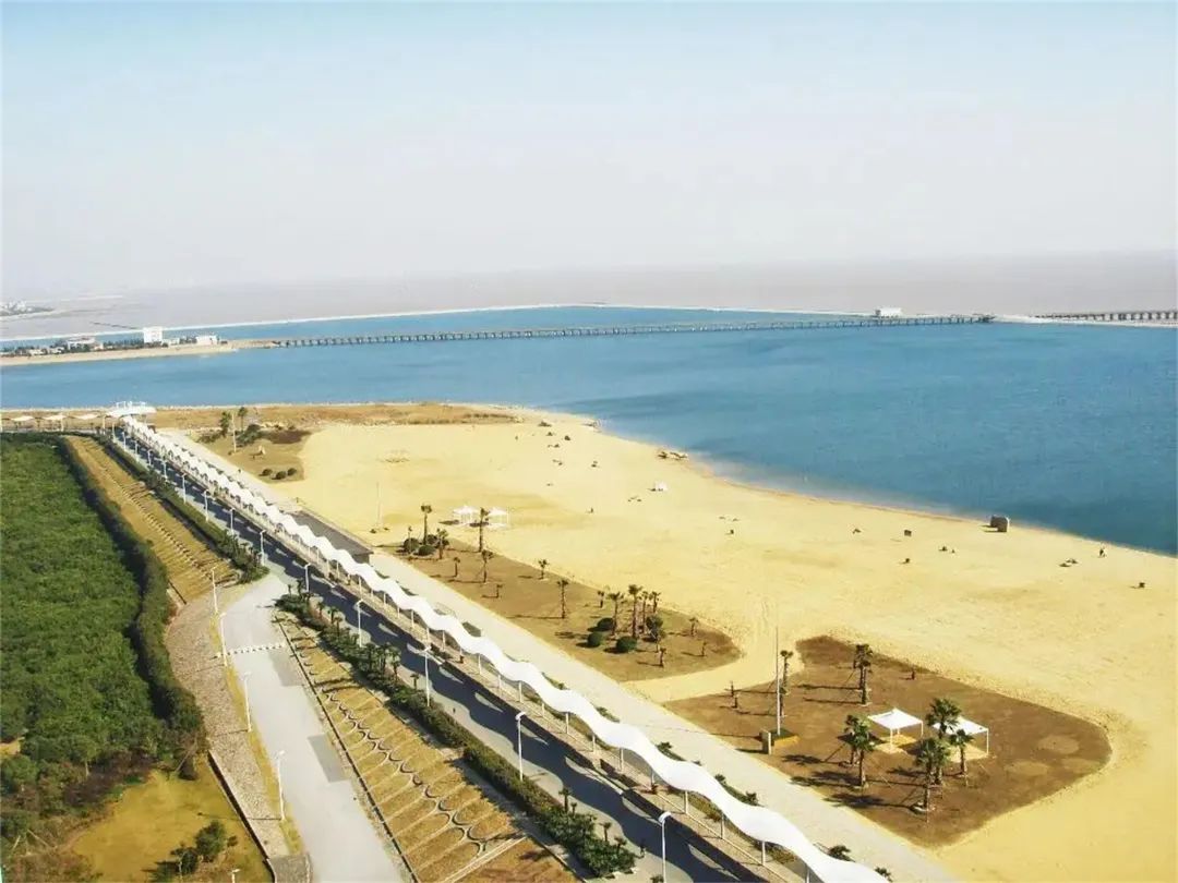 足不出沪旅游,足不出沪食遍江南