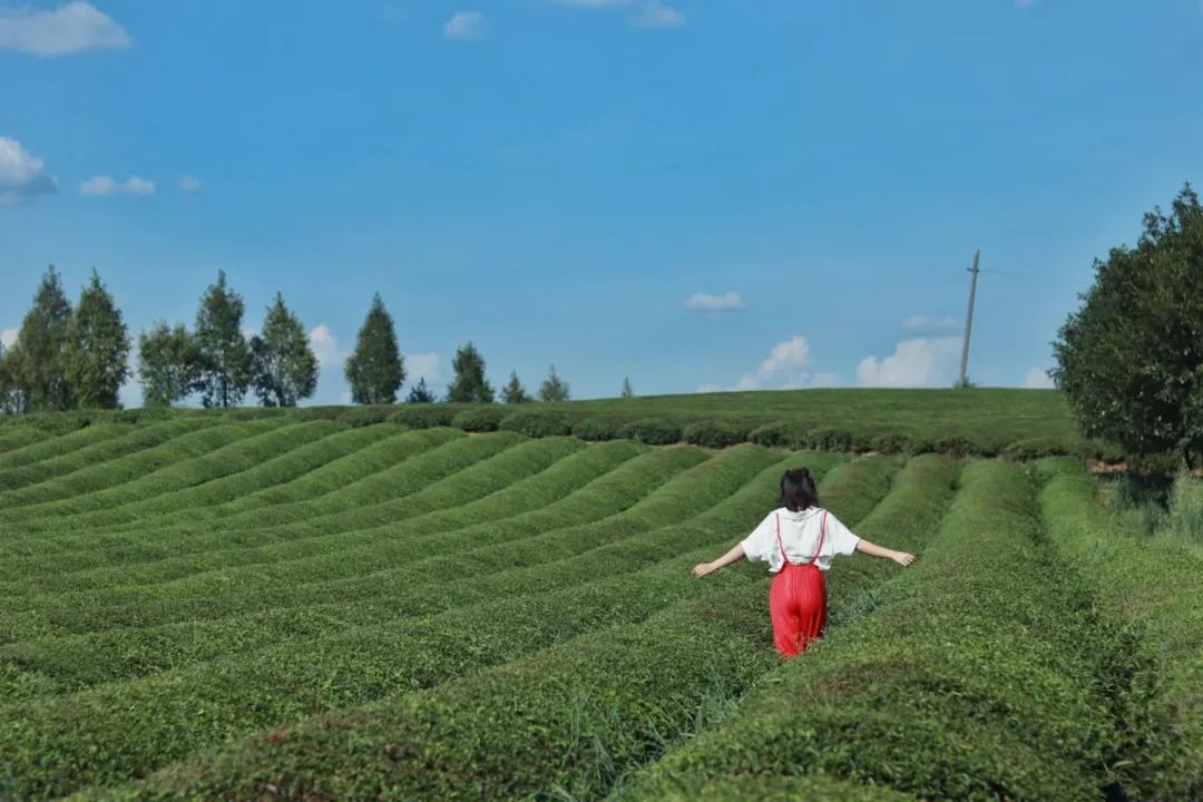 稻田野餐包场看银河！这个小城很出名，但你大概率没听过！