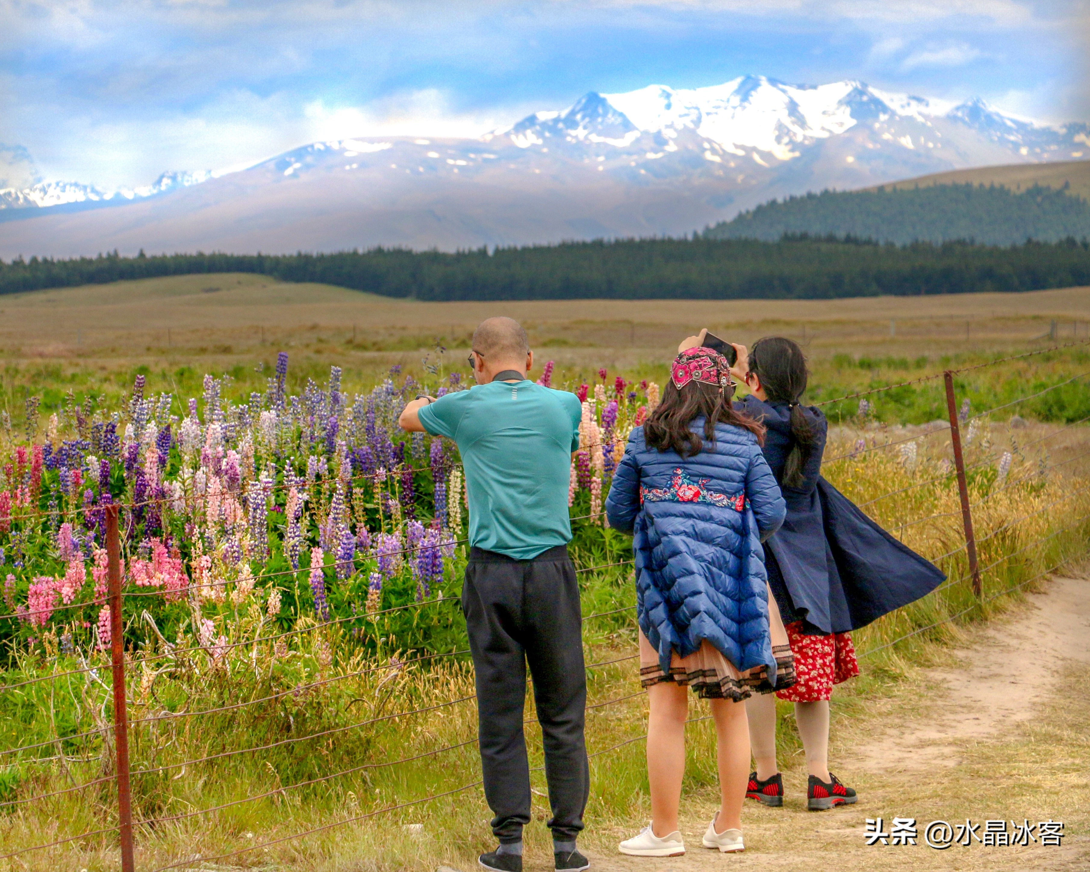 南岛新西兰之旅,新西兰之南岛