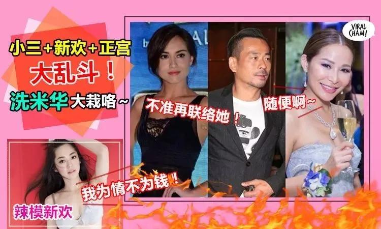 洗米华被捕意味着什么,洗米华目前被抓了没