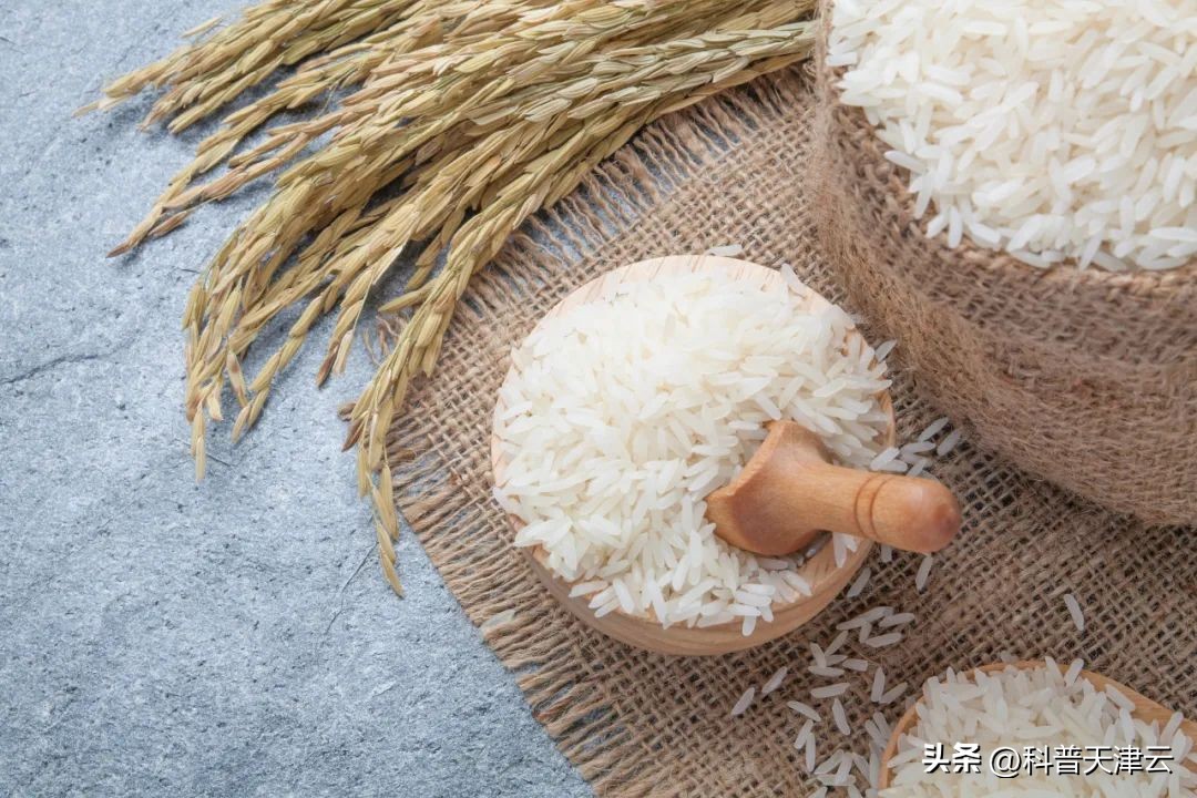 泰国香米为什么放添加剂,泰国香米猫腻
