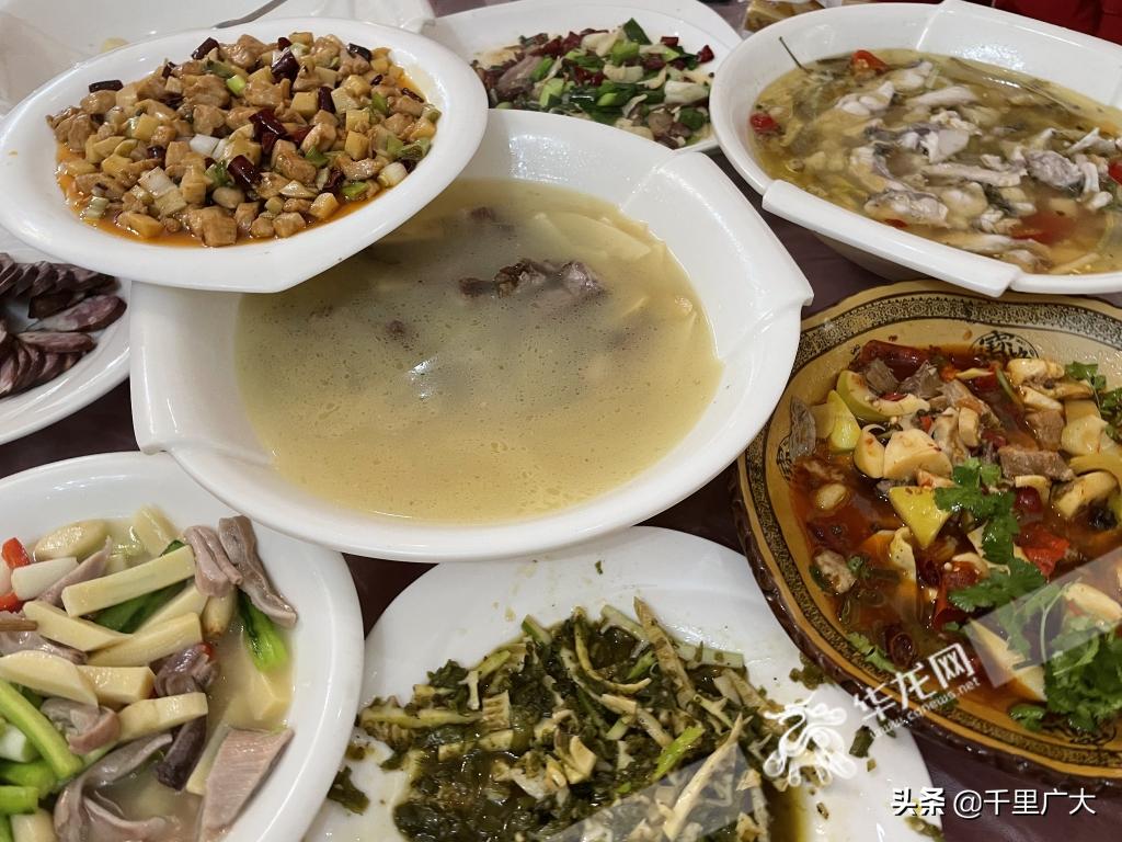 在山里享受慢节奏生活,在山野之间享受自在惬意的慢生活