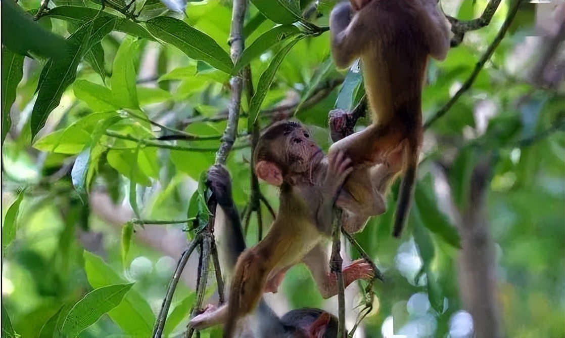 海南晴天的沙滩,海南阳光下的海