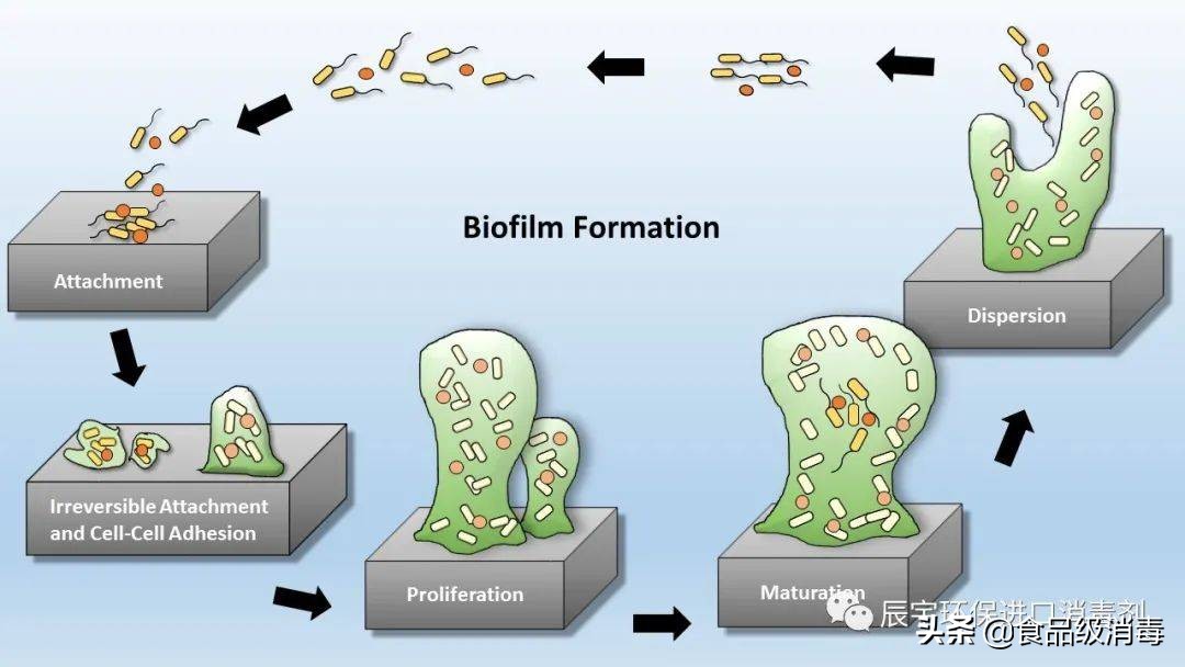 实验室超纯水系统使用方法,超纯水处理系统操作流程