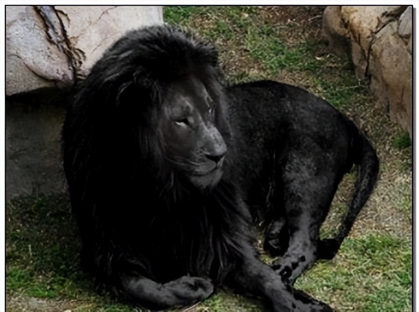 c罗十大让人不可思议时刻,c罗十大无解时刻