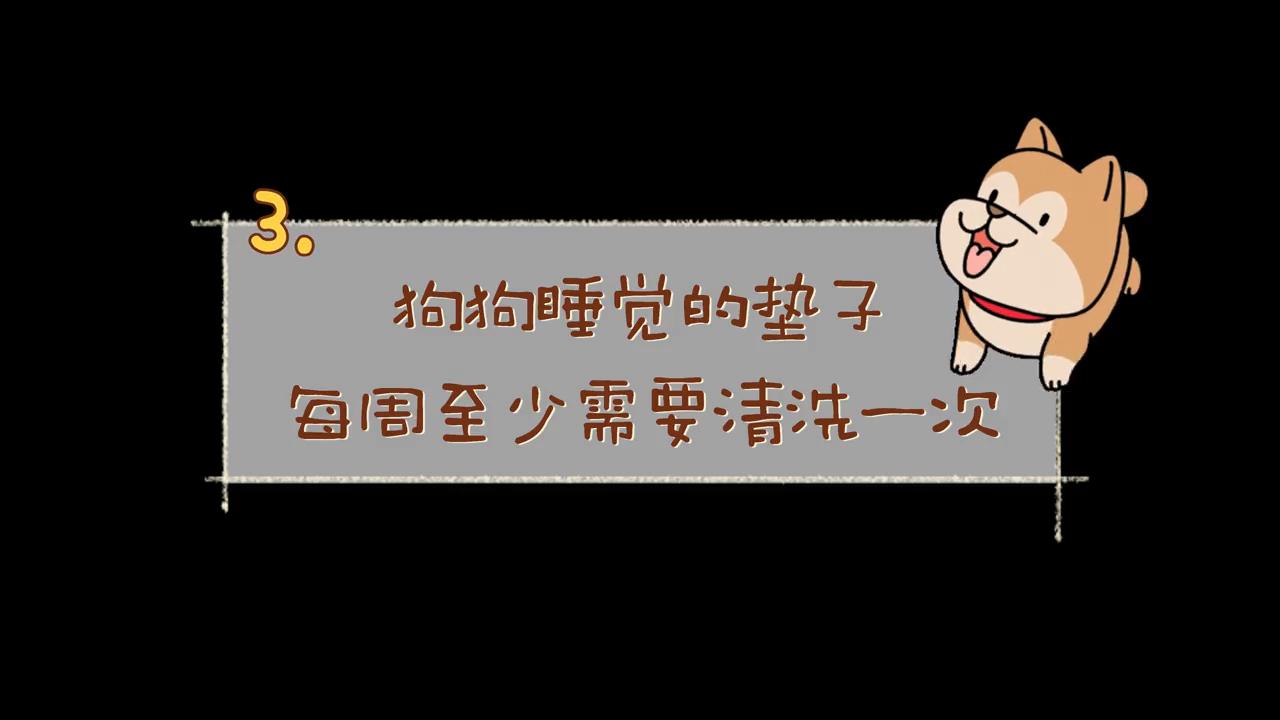 旺芙宠物护毛素,养宠家庭如何避免苍蝇