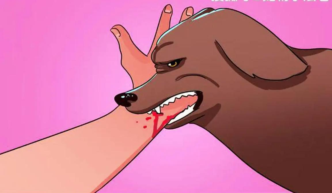 为什么狂犬病发作后死亡率高,为什么狂犬病发作100%致死率