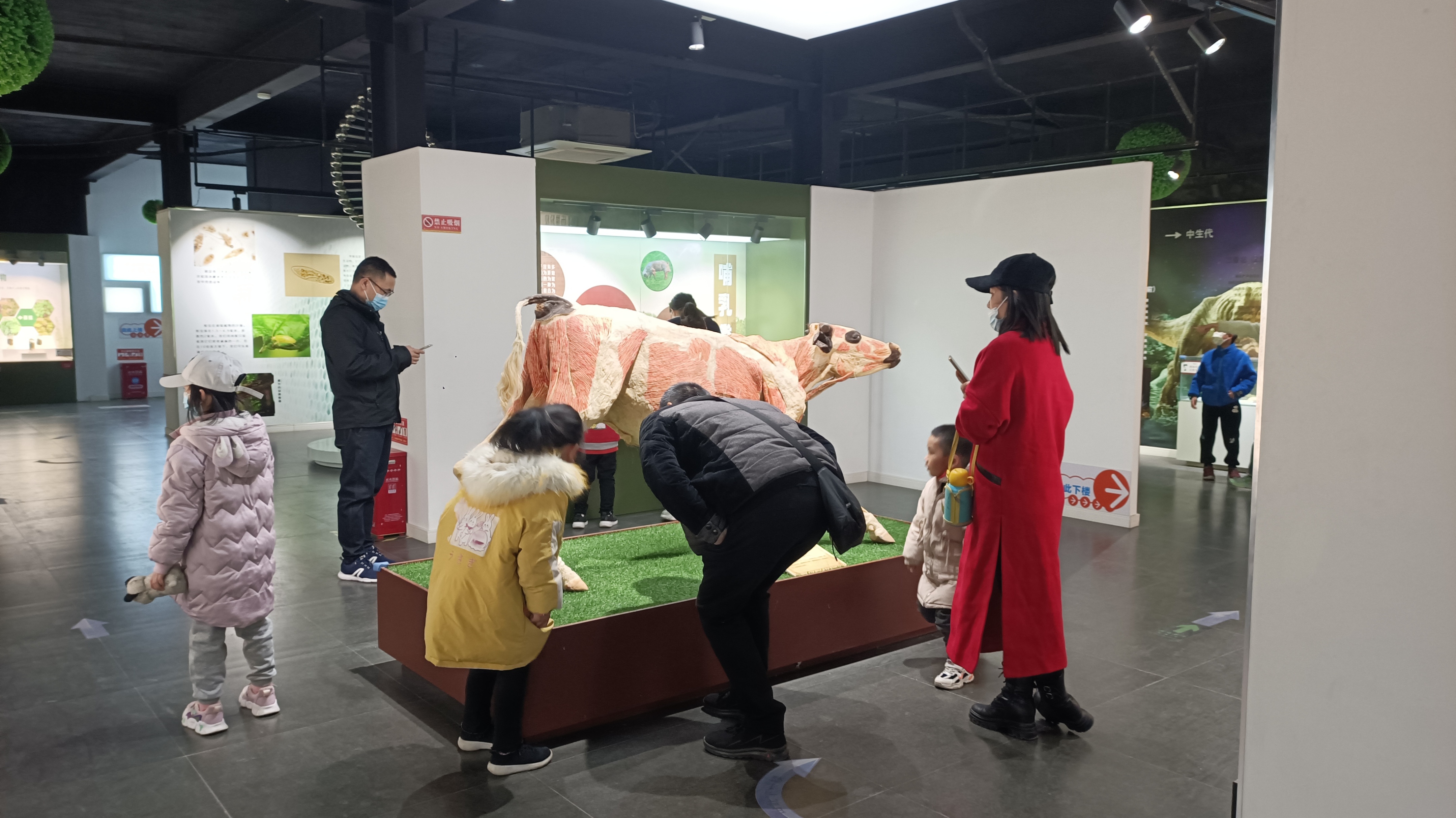 閮戝窞鍛ㄨ竟閫傚悎鏄ュぉ鍘荤殑鍦版柟,閮戝窞鏄ュぉ鏈夊摢浜涘ソ鐜╃殑鍦版柟