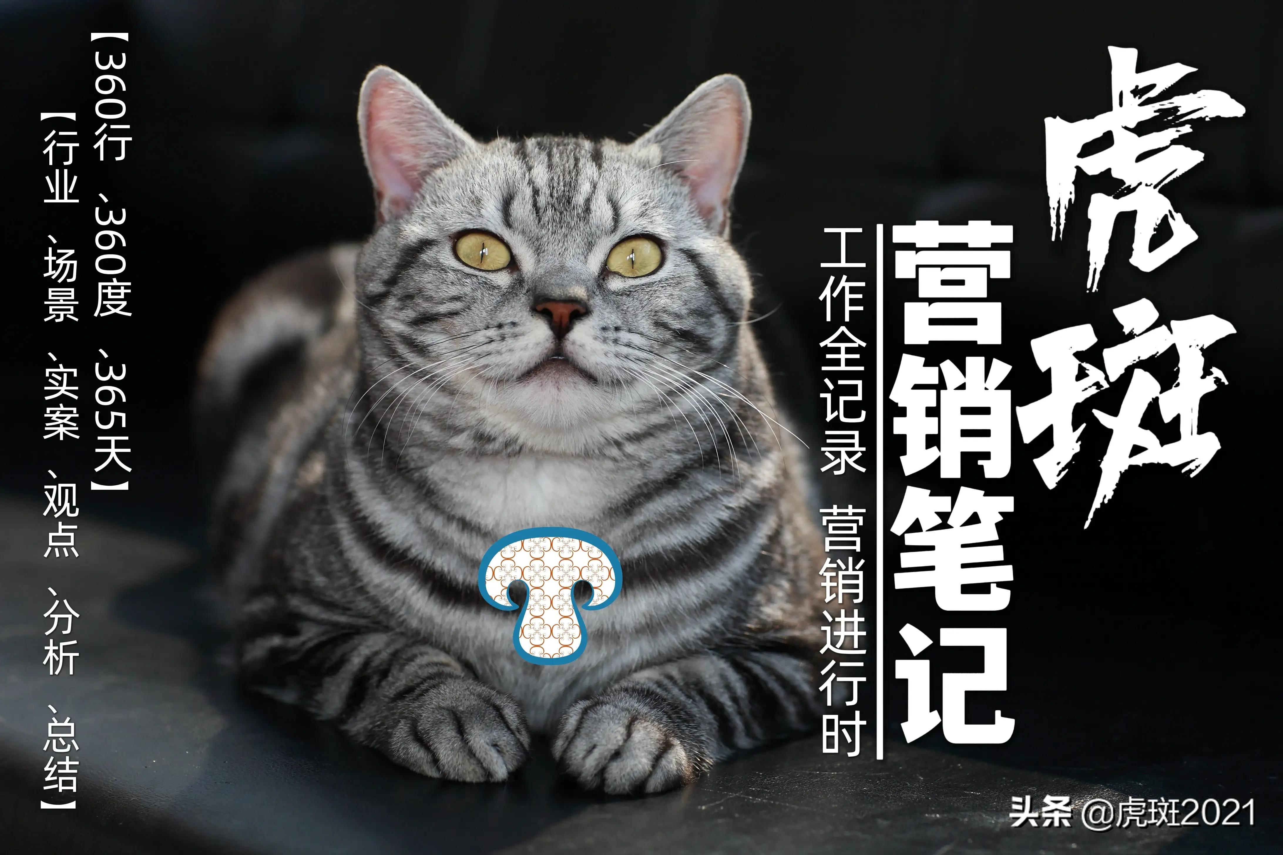 《虎斑营销笔记》第131页“流量密码”