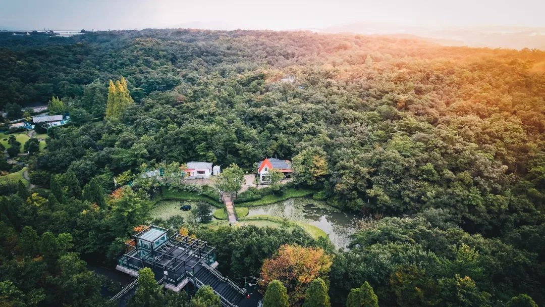 宫崎骏退休发布会,82岁宫崎骏退休之作定档