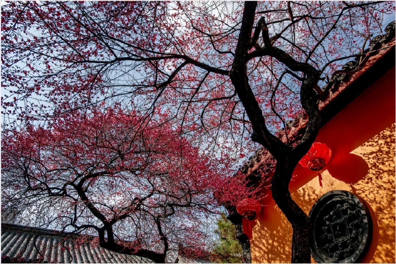 老人去世遗物留不留,家里祖辈过世有何禁忌