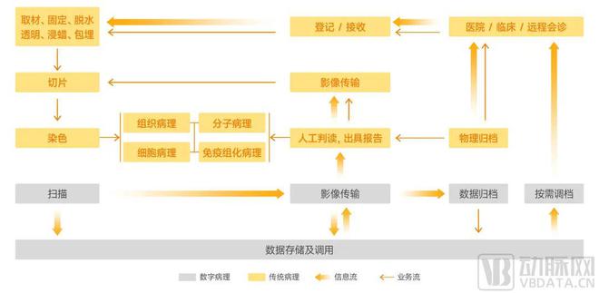 病理检测市场情况,病理报告有用吗