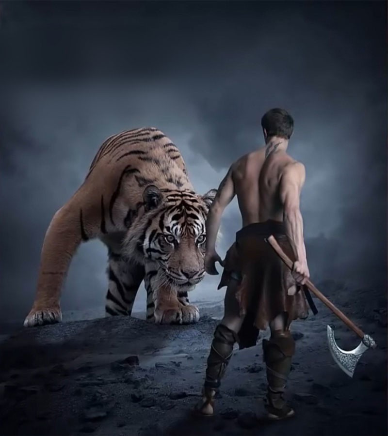 野外遇到老虎为啥不能爬树或下水,野外遇到老虎的正确求生方式