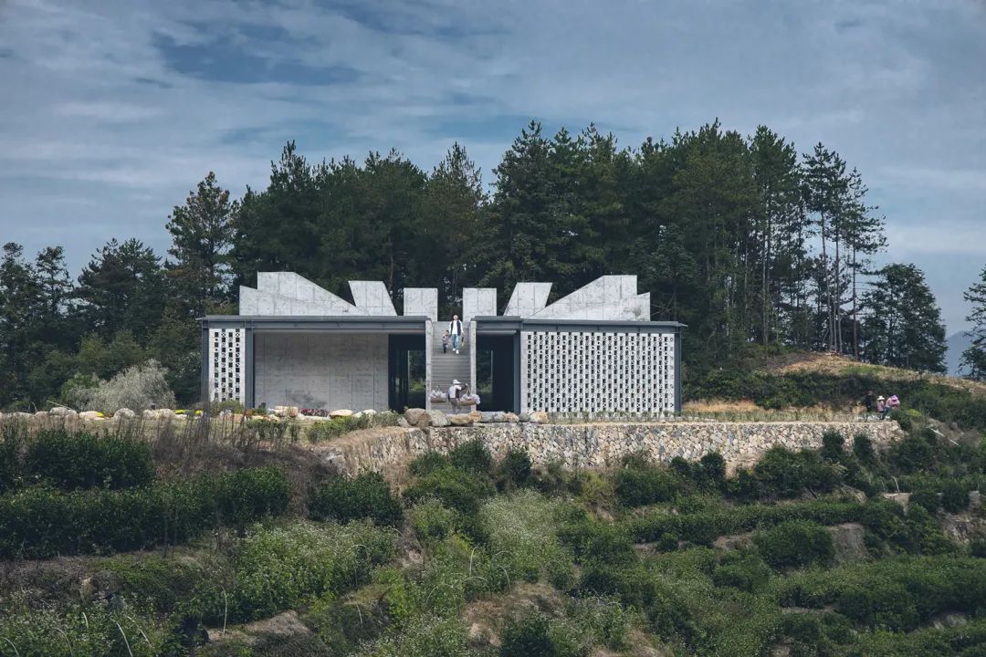 中国茶申遗成功吗,中国茶申遗成功44项名单