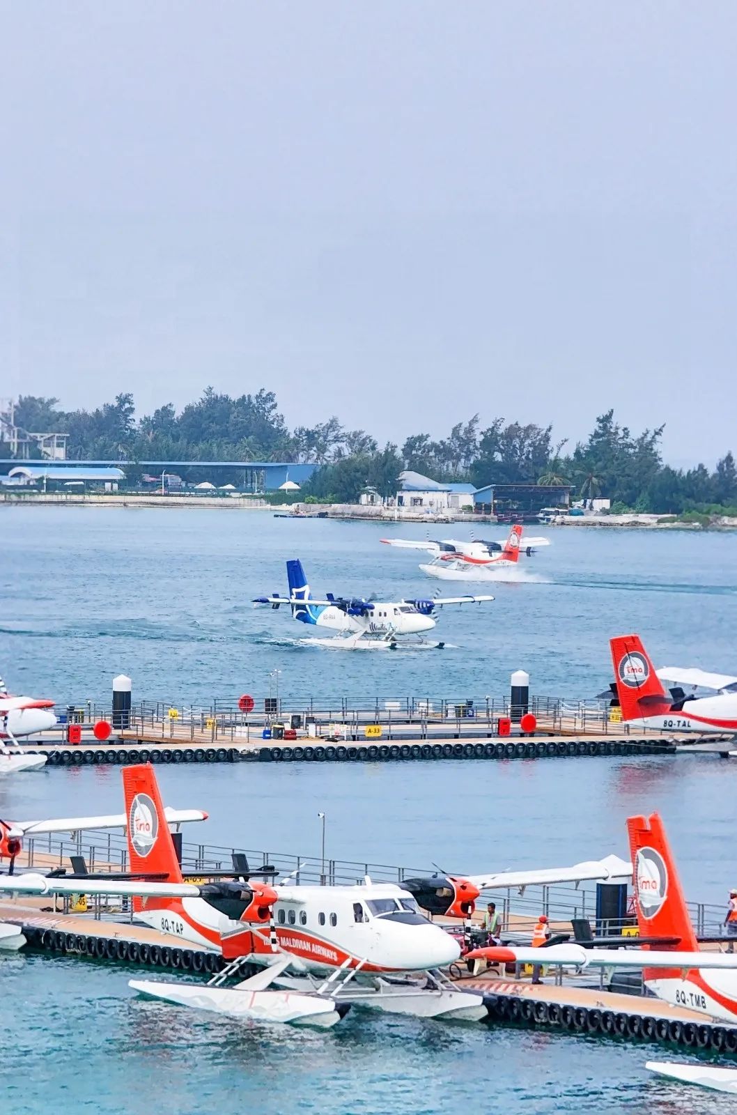 游记马尔代夫,马尔代夫是否值得一去