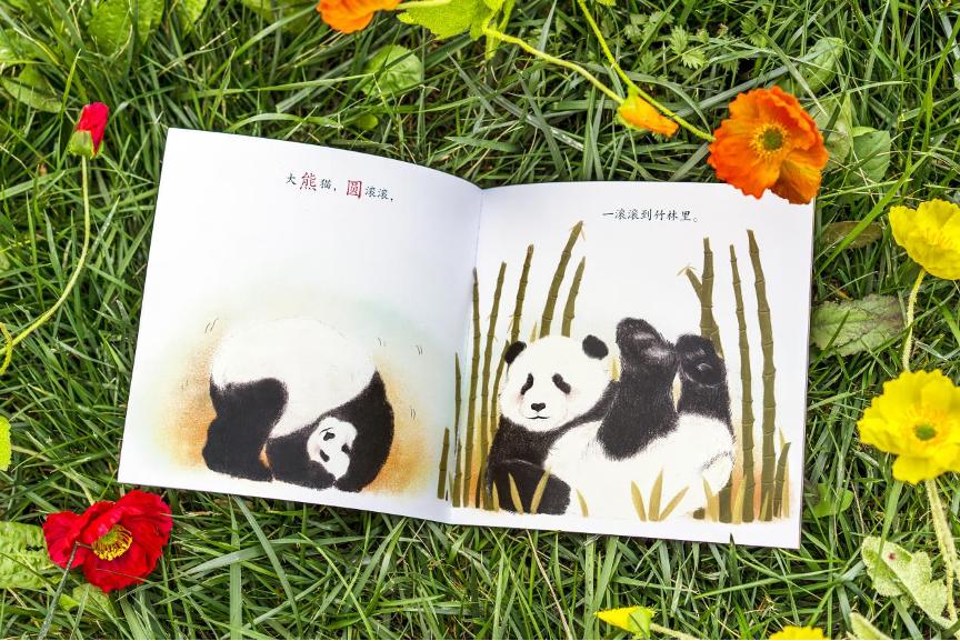 一套真正适合国内幼儿的分级读物！让孩子在阅读中轻松识字长知识