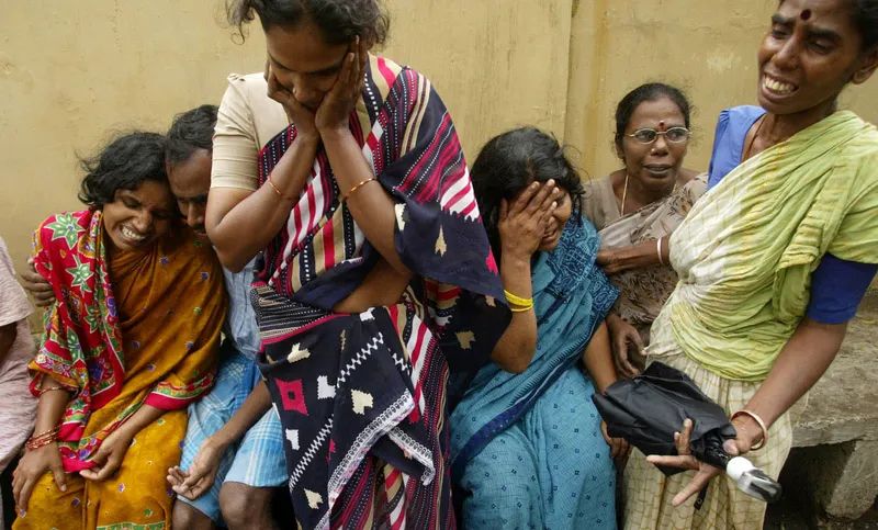 唐伯虎的真实事件,唐驳虎30年来的大事