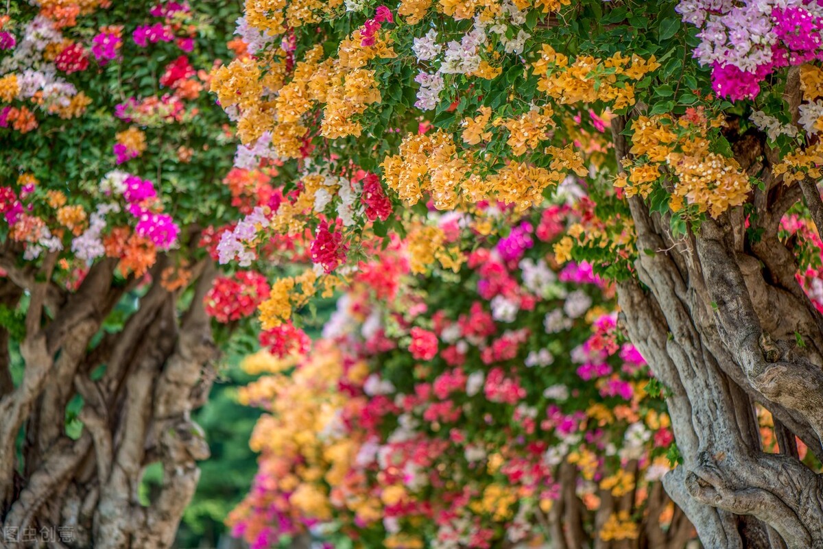 想知道大家的微信个性签名是什么,大家的微信个性签名都是什么