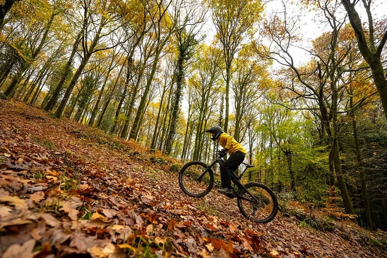 户外骑自行车的技巧和方法,户外骑行怎么练体能