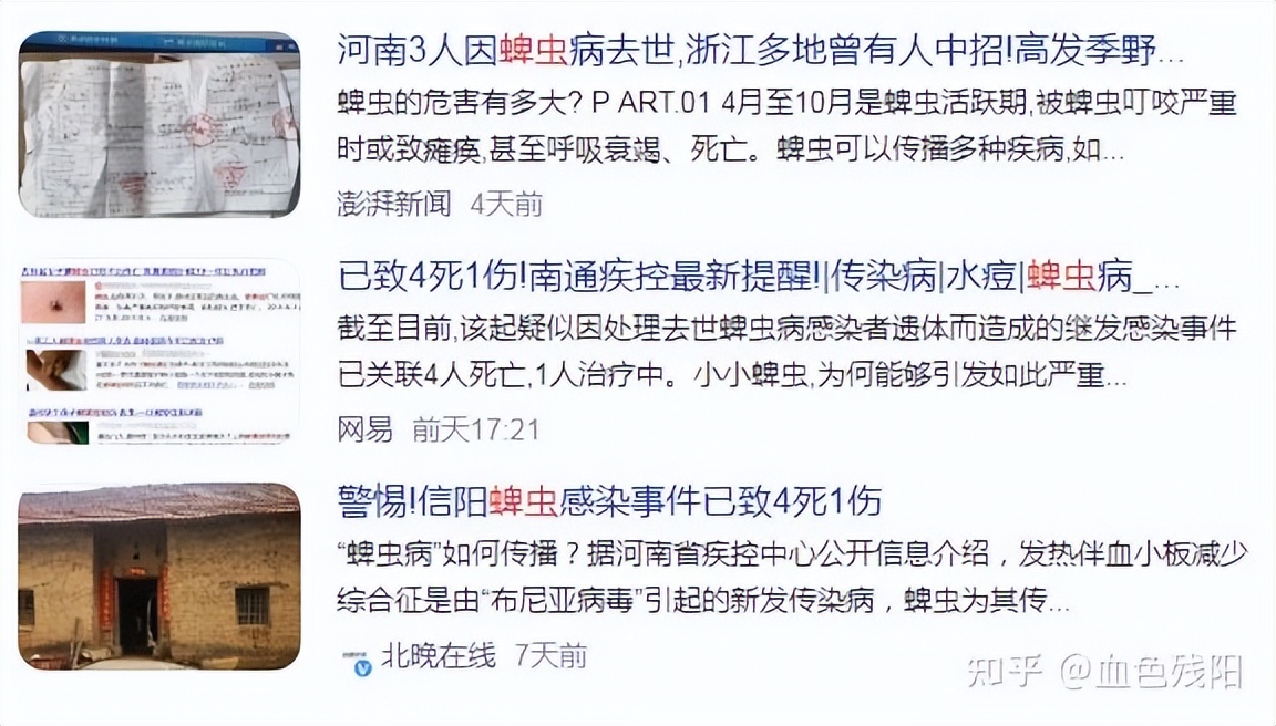 长寿猫咪,猫咪长寿