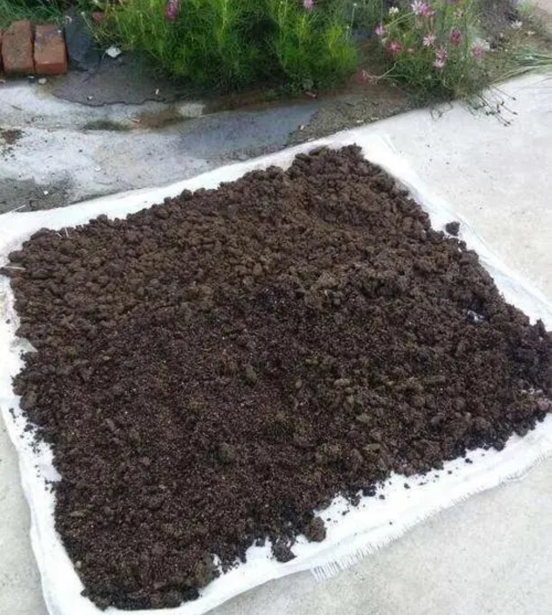 养花的旧土怎样培植成营养土,怎样培育肥沃的养花土