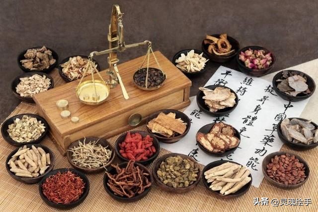 植物为什么可以治疗动物的疾病？