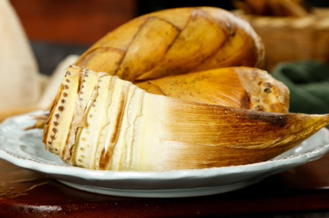 三九补一冬吃什么食物,冬补三九下一句