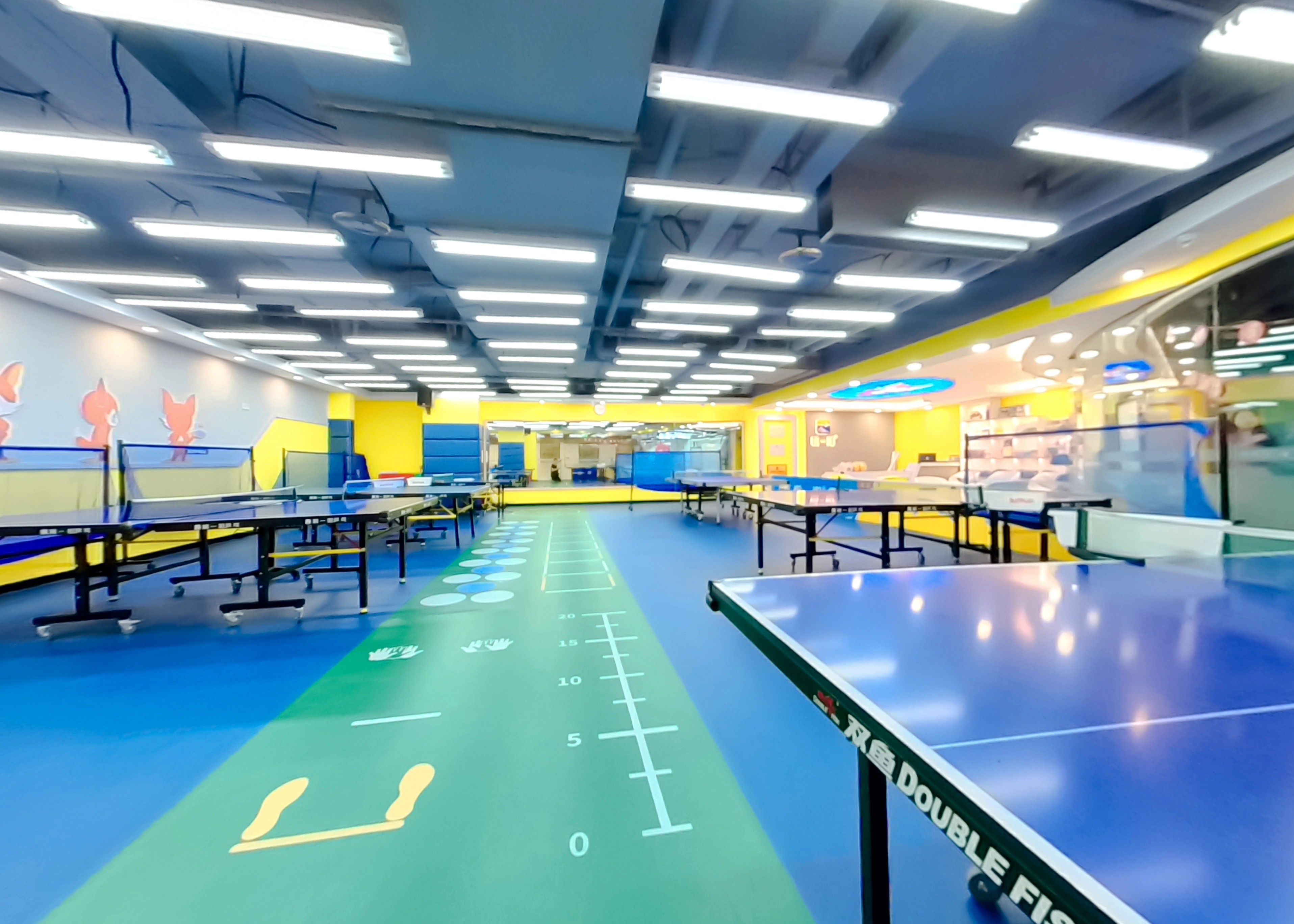 重庆靠谱的少儿乒乓球训练,重庆乒乓球培训收费标准