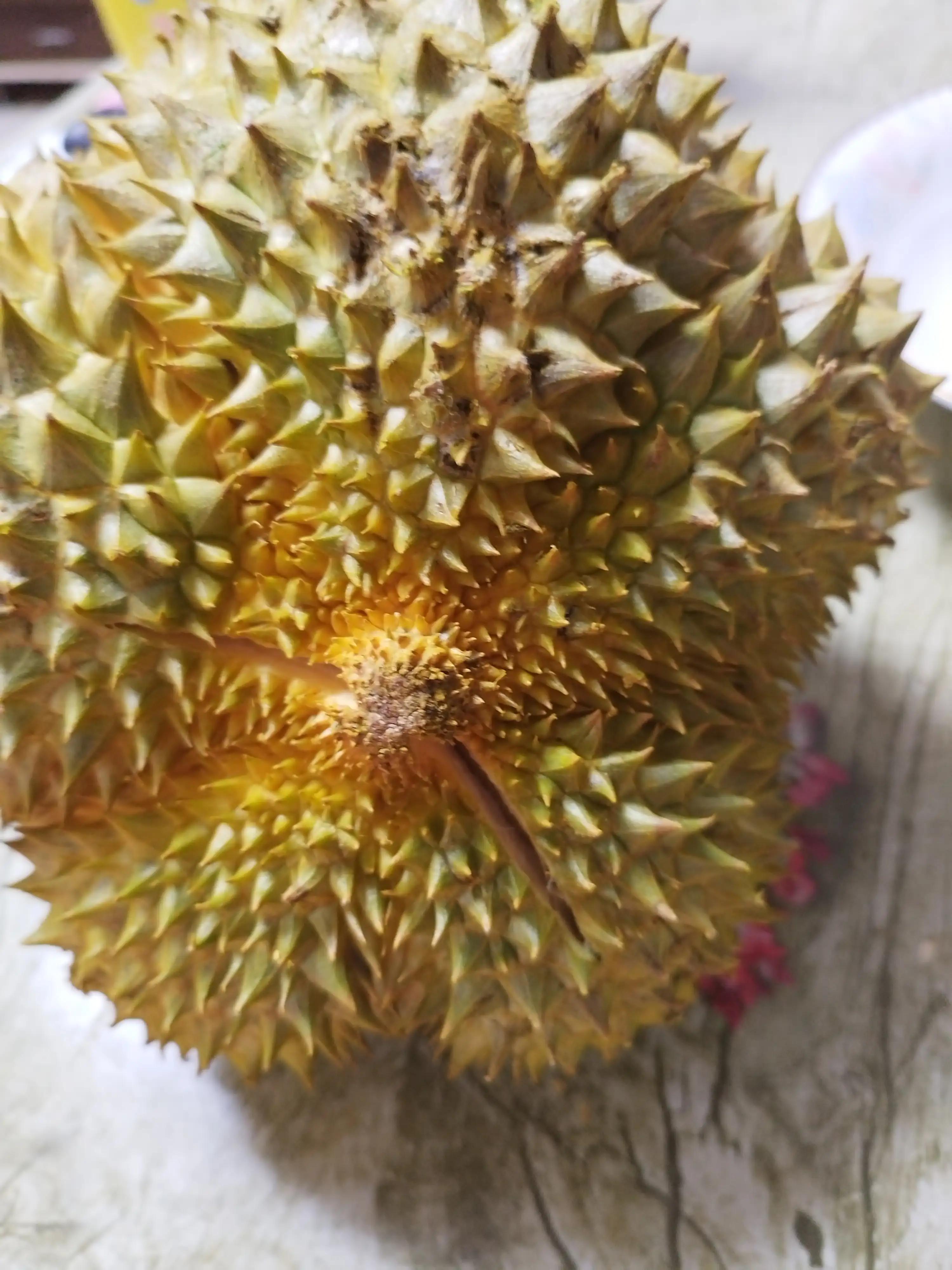 网上这些冷冻榴莲值不值得买,开完的榴莲要放冰箱保鲜吗