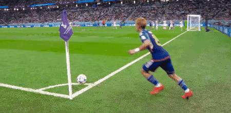 蓝武士遗憾出局，太极虎遭虐回家