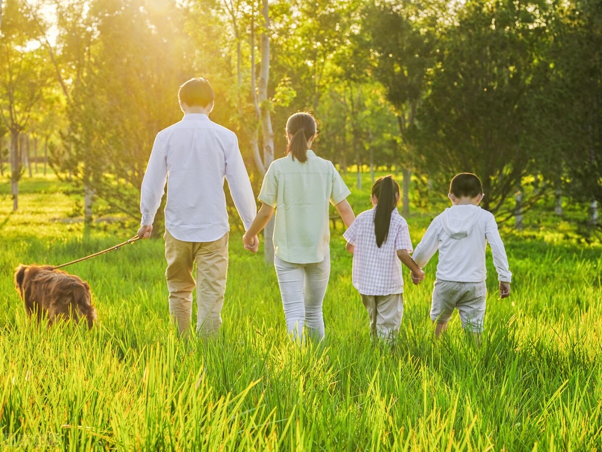 兄弟姐妹小说,小说姐妹兄弟免费阅读