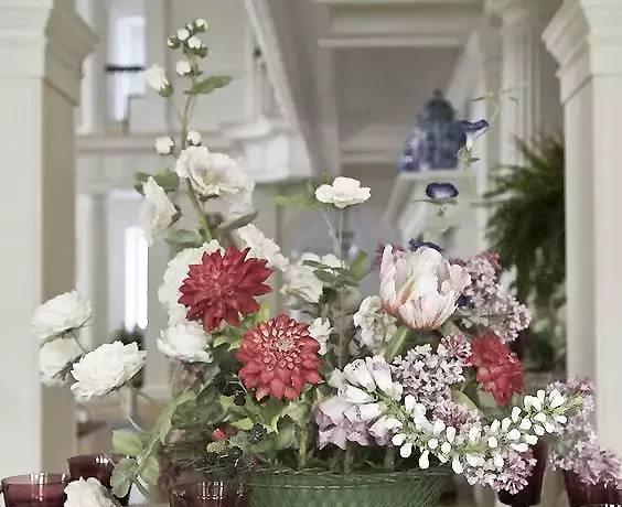 园丁的花园里开出了永生花,园丁永生花