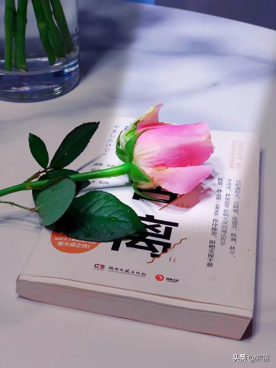 好好讲话可以解决问题吗,好好说话有效沟通做作业