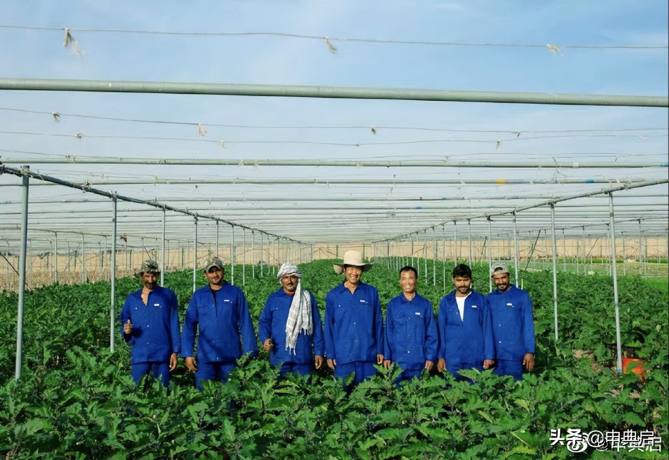 温州超市海外发展史：从杂货铺到大集团，中国人的勤劳、胆魄