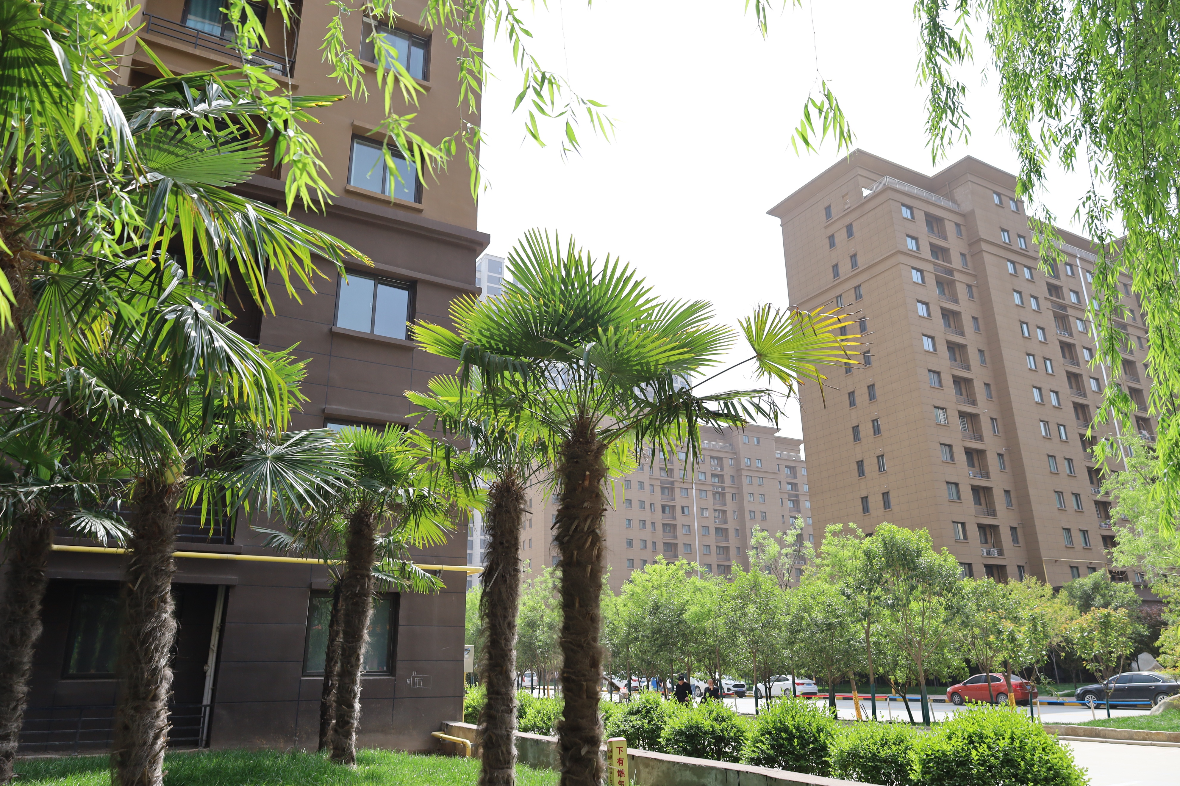 什么是最值得买的相机,哪个品牌的相机最值得买